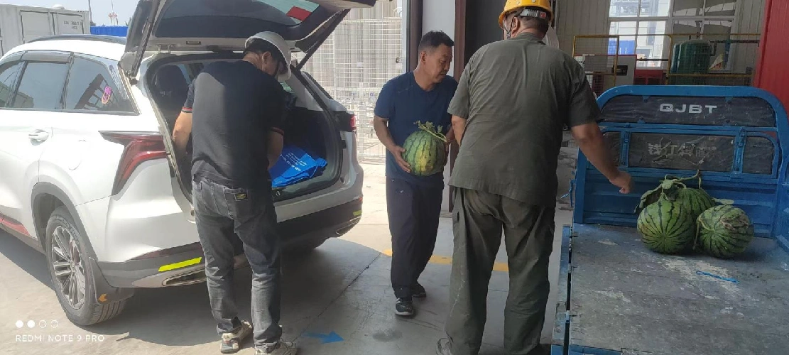 ສົ່ງຄວາມເຢັນໃນລະດູຮ້ອນ, ຄວາມພະຍາຍາມທ້ອນໂຮມເພື່ອຕ້ານການຄວາມຮ້ອນທີ່ສຸດ